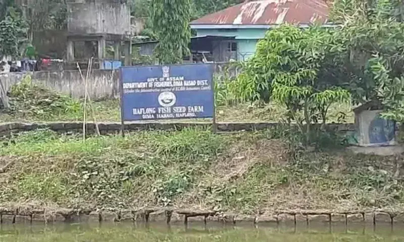 Assam: दीमा हसाओ: सरकारी भूमि कब्जे पर संरक्षण समिति ने उठाई आवाज Assam: दीमा हसाओ: सरकारी भूमि कब्जे पर संरक्षण समिति ने उठाई आवाज
