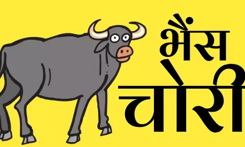 Farrukhabad: सड़क हादसे और भैंस चोरी से मचा हड़कंप Farrukhabad: सड़क हादसे और भैंस चोरी से मचा हड़कंप