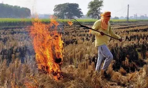 Amritsar: धान की कटाई के मौसम से पहले पराली संरक्षण बल का गठन किया जाएगा Amritsar: धान की कटाई के मौसम से पहले पराली संरक्षण बल का गठन किया जाएगा