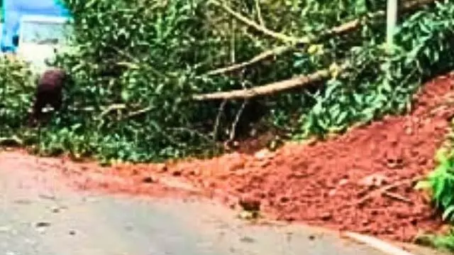 GOA: काशीमट-बंडोरा के पास भूस्खलन और पेड़ गिरने की खबर GOA: काशीमट-बंडोरा के पास भूस्खलन और पेड़ गिरने की खबर