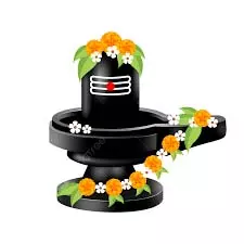 Shivling Flowers: जानिए शिवलिंग पर कौन सा फूल चढ़ाने से क्या फल मिलता है Shivling Flowers: जानिए शिवलिंग पर कौन सा फूल चढ़ाने से क्या फल मिलता है