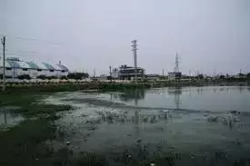 Telangana: जीदीमेटला कारखानों ने अपशिष्टों से काज़ी झील को प्रदूषित किया Telangana: जीदीमेटला कारखानों ने अपशिष्टों से काज़ी झील को प्रदूषित किया