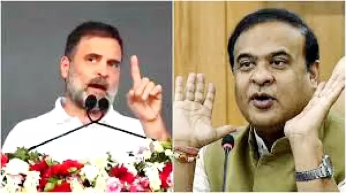 जमानत पर बाहर, फिर भी सीएम को धमका रहे हैं BJP का राहुल गांधी पर पलटवार जमानत पर बाहर, फिर भी सीएम को धमका रहे हैं BJP का राहुल गांधी पर पलटवार