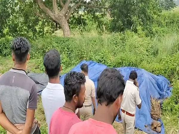 पुरी में लड़की को आग लगाने पर ओडिशा के पूर्व सीएम नवीन पटनायक ने कहा, सरकार की व्यवस्थागत विफलता पुरी में लड़की को आग लगाने पर ओडिशा के पूर्व सीएम नवीन पटनायक ने कहा, सरकार की व्यवस्थागत विफलता