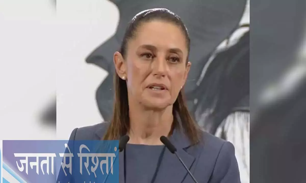 मैक्सिकन राष्ट्रपति ने नई अमेरिकी सीमा दीवार के निर्माण को अस्वीकार किया मैक्सिकन राष्ट्रपति ने नई अमेरिकी सीमा दीवार के निर्माण को अस्वीकार किया