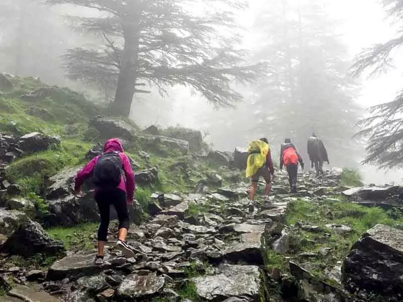 Kangra प्रशासन ने प्रमुख ट्रैकिंग मार्गों पर निगरानी चौकियां स्थापित कीं Kangra प्रशासन ने प्रमुख ट्रैकिंग मार्गों पर निगरानी चौकियां स्थापित कीं
