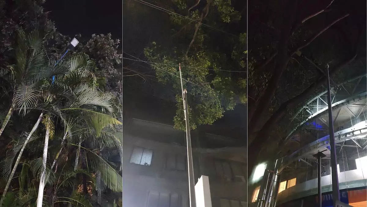 PMC ने खराब स्ट्रीट लाइटिंग पर 274 जगहों पर सुधार का आदेश दिया PMC ने खराब स्ट्रीट लाइटिंग पर 274 जगहों पर सुधार का आदेश दिया