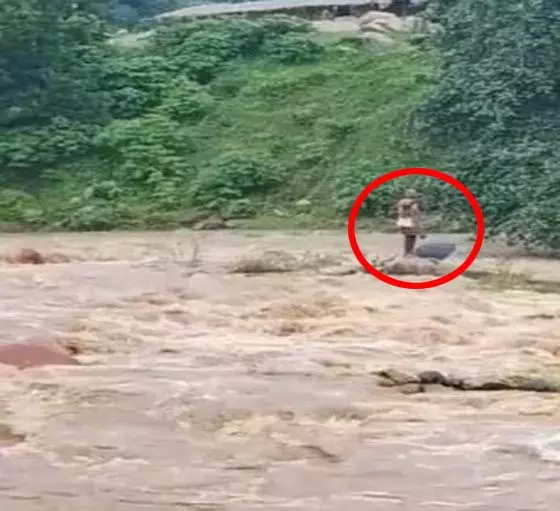 घुनघुट्टा नदी में अचानक आई बाढ़, मछली पकड़ने गया बुजुर्ग बाल-बाल बचा घुनघुट्टा नदी में अचानक आई बाढ़, मछली पकड़ने गया बुजुर्ग बाल-बाल बचा