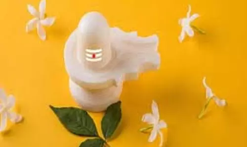 Pradosh Vrat Upay: प्रदोष व्रत के दिन भगवान शिव को जरूर चढ़ाएं ये चीजें, घर में होगी बरकत Pradosh Vrat Upay: प्रदोष व्रत के दिन भगवान शिव को जरूर चढ़ाएं ये चीजें, घर में होगी बरकत