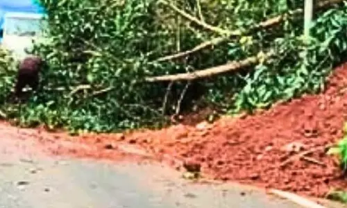 GOA: काशीमट-बंडोरा के पास भूस्खलन और पेड़ गिरने की खबर GOA: काशीमट-बंडोरा के पास भूस्खलन और पेड़ गिरने की खबर