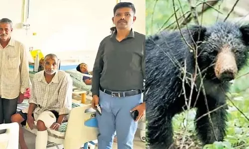 भालू के हमले में वन अधिकारी ने बुजुर्ग की जान बचाई, ग्रीन कॉरिडोर के जरिए अस्पताल पहुंचाया भालू के हमले में वन अधिकारी ने बुजुर्ग की जान बचाई, ग्रीन कॉरिडोर के जरिए अस्पताल पहुंचाया