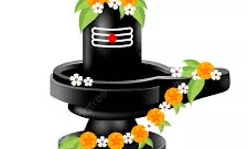Shivling Flowers: जानिए शिवलिंग पर कौन सा फूल चढ़ाने से क्या फल मिलता है