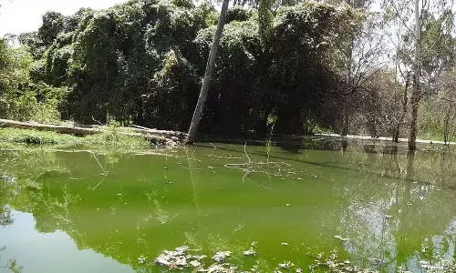 Bengaluru : पट्टनदूर अग्रहारा झील के पुनरुद्धार के लिए अपील Bengaluru : पट्टनदूर अग्रहारा झील के पुनरुद्धार के लिए अपील