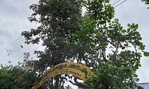 बिजली लाइन से खतरे की आशंका; स्कूल प्रशासन की सूचना के बावजूद KSEB चुप बिजली लाइन से खतरे की आशंका; स्कूल प्रशासन की सूचना के बावजूद KSEB चुप