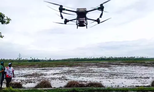 चेम्बाकसेरी के खेत में आधुनिक धान की खेती शुरू; बीज बोने के लिए ड्रोन का इस्तेमाल