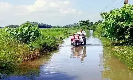 East Burdwan: भागीरथी-अजय में बाढ़ जैसे हालात, जनजीवन प्रभावित East Burdwan: भागीरथी-अजय में बाढ़ जैसे हालात, जनजीवन प्रभावित