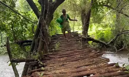 Sanguem में बैंकल वाडा को एक दशक से अधिक समय से पुल संपर्क का इंतजार Sanguem में बैंकल वाडा को एक दशक से अधिक समय से पुल संपर्क का इंतजार