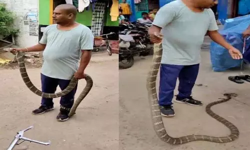 Odisha : गंजम जिले में रसोई से 10 फुट लंबा किंग कोबरा बचाया गया Odisha : गंजम जिले में रसोई से 10 फुट लंबा किंग कोबरा बचाया गया