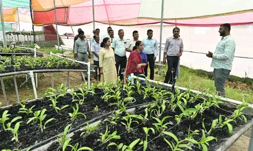 विकास की नई इबारत, धमतरी में बदलते ग्रामीण परिदृश्य की कहानी विकास की नई इबारत, धमतरी में बदलते ग्रामीण परिदृश्य की कहानी