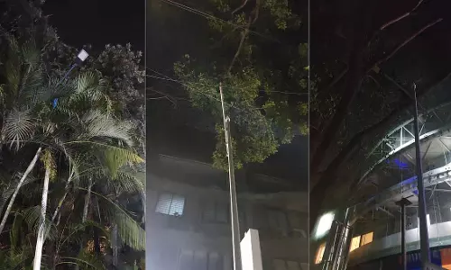 PMC ने खराब स्ट्रीट लाइटिंग पर 274 जगहों पर सुधार का आदेश दिया PMC ने खराब स्ट्रीट लाइटिंग पर 274 जगहों पर सुधार का आदेश दिया