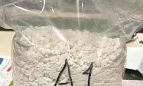 बेंगलुरु हवाई अड्डे पर कॉमिक पुस्तकों में छिपाकर रखी गई 4 kg कोकीन जब्त की, एक गिरफ्तार