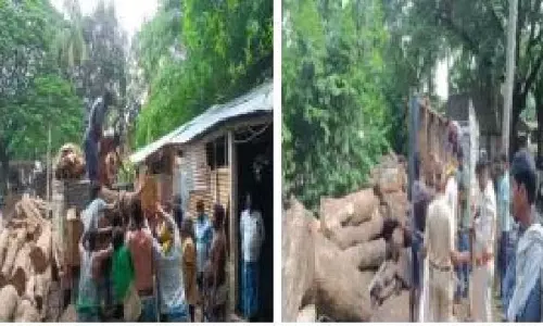 Odisha : सतर्कता की वन शाखा ने 12 लाख रुपये मूल्य की लकड़ी जब्त की Odisha : सतर्कता की वन शाखा ने 12 लाख रुपये मूल्य की लकड़ी जब्त की