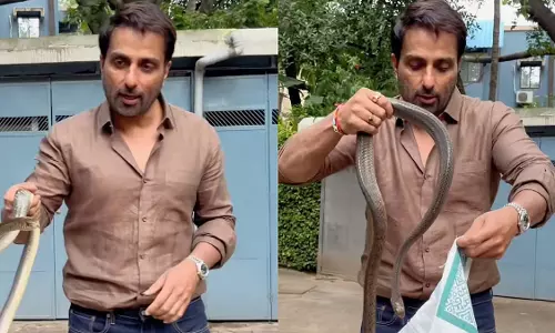 Sonu Sood : सोसायटी में देखा सांप, नंगे हाथों से किया रेस्क्यू