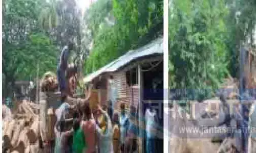 ओडिशा सतर्कता की वन शाखा ने जब्त की 12 लाख रुपये मूल्य की लकड़ी