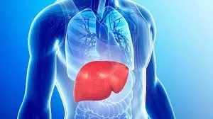 Health: सुबह खाली पेट पिएं ये असरदार ड्रिंक, लिवर और किडनी रहेंगे साफ Health: सुबह खाली पेट पिएं ये असरदार ड्रिंक, लिवर और किडनी रहेंगे साफ