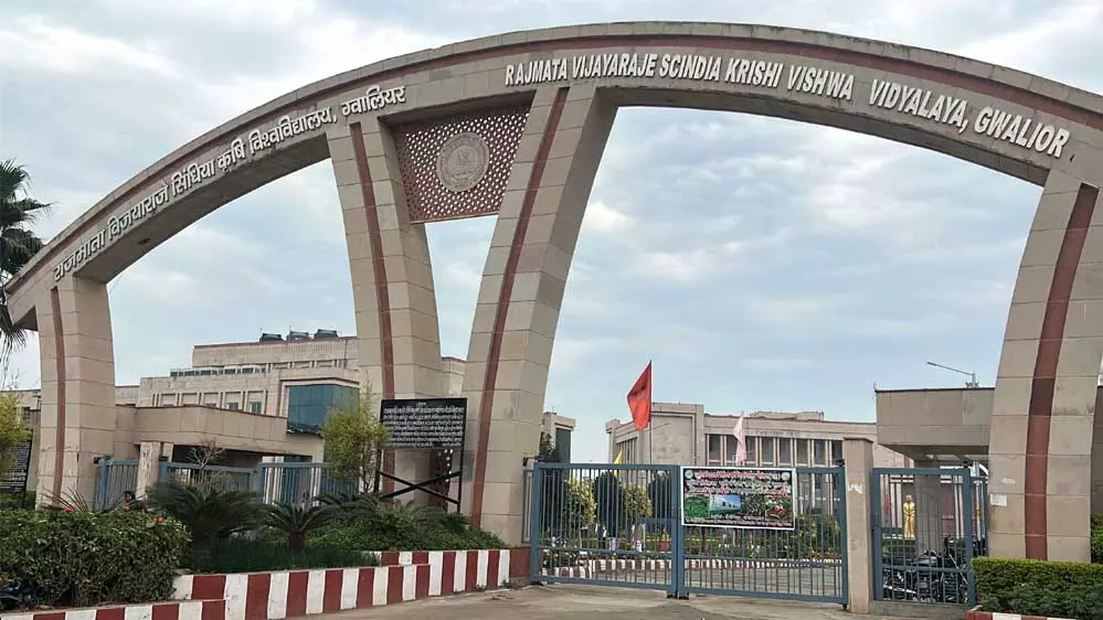 Gwalior: अब किसान खुद उगा सकेंगे ऑयल सीड के बीज, विश्वविद्यालय देगा तकनीकी सहयोग Gwalior: अब किसान खुद उगा सकेंगे ऑयल सीड के बीज, विश्वविद्यालय देगा तकनीकी सहयोग