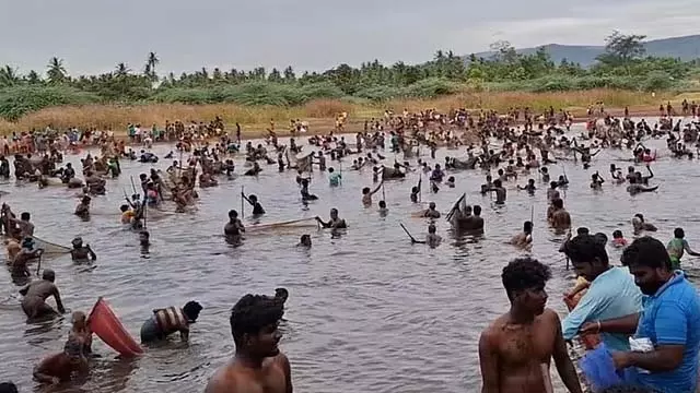 Tamil Nadu: नाथम के निकट एक भव्य मछली पकड़ने का त्यौहार Tamil Nadu: नाथम के निकट एक भव्य मछली पकड़ने का त्यौहार