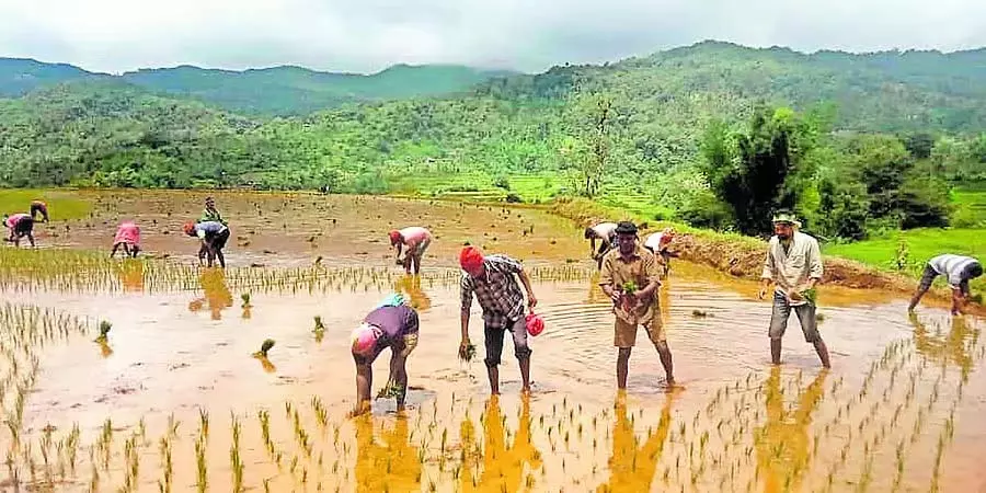 कर्नाटक में भारी बारिश : तटीय इलाकों में भारी बारिश कर्नाटक में भारी बारिश : तटीय इलाकों में भारी बारिश