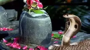 Nag Panchami 2025: कालसर्प दोष दूर करने के लिए नाग पंचमी के दिन शिवलिंग पर क्या चढ़ाएं Nag Panchami 2025: कालसर्प दोष दूर करने के लिए नाग पंचमी के दिन शिवलिंग पर क्या चढ़ाएं