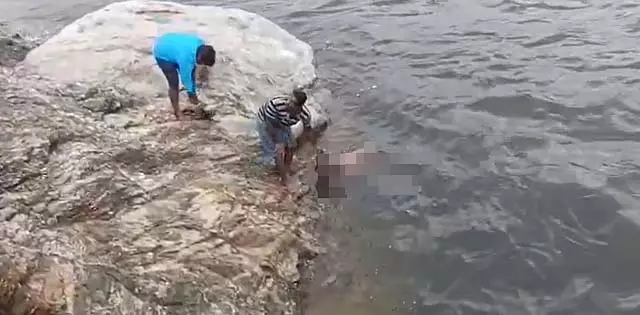 मेट्टूर बांध के उफान पर आए पानी में बहे बुजुर्ग को अस्पताल में भर्ती कराया गया मेट्टूर बांध के उफान पर आए पानी में बहे बुजुर्ग को अस्पताल में भर्ती कराया गया