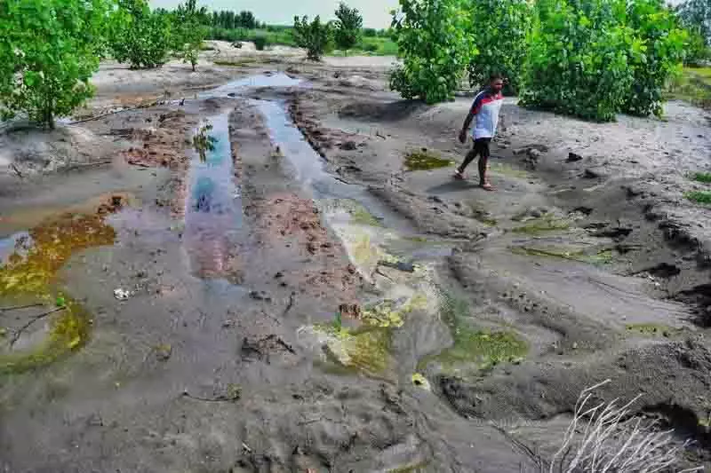 Sutlej नदी के किनारे अवैध खनन ग्रामीणों के लिए चिंता का विषय Sutlej नदी के किनारे अवैध खनन ग्रामीणों के लिए चिंता का विषय