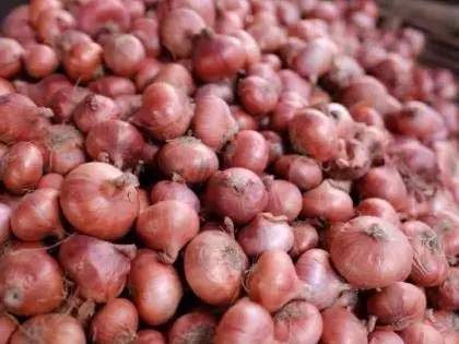 Bangladesh के आयात प्रतिबंध से प्याज किसानों पर असर Bangladesh के आयात प्रतिबंध से प्याज किसानों पर असर