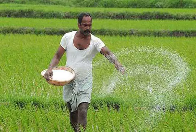 Kerala : उर्वरक की कीमतें बढ़ीं, किसान चिंतित Kerala : उर्वरक की कीमतें बढ़ीं, किसान चिंतित