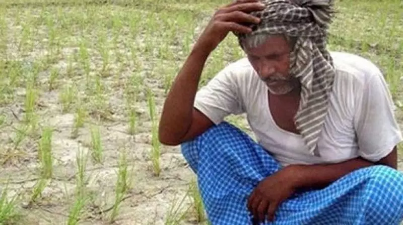 Telangana: कम बारिश के कारण खरीफ की खेती में गिरावट Telangana: कम बारिश के कारण खरीफ की खेती में गिरावट