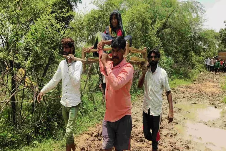 Panna: पिपरिया गांव में सड़क नहीं, मरीजों को डोली में ले जाने की मजबूरी Panna: पिपरिया गांव में सड़क नहीं, मरीजों को डोली में ले जाने की मजबूरी