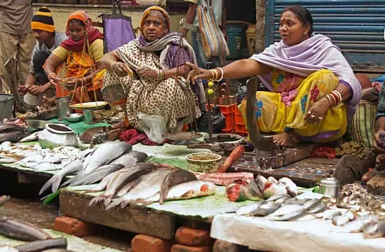 दोपहर और रात के खाने के मेन्यू में मछली नहीं! इस गाँव में क्या चल रहा है? दोपहर और रात के खाने के मेन्यू में मछली नहीं! इस गाँव में क्या चल रहा है?