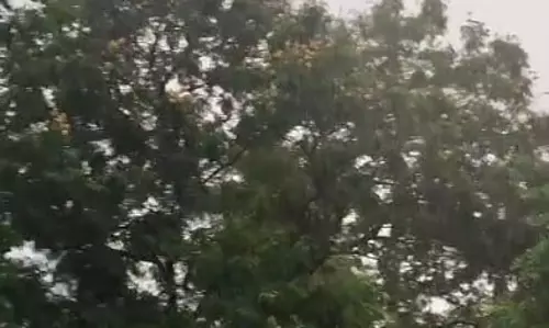 रायपुर में हो रही तेज बारिश, 18 जिलों में ORANGE ALERT जारी