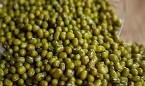Health: गुणों का भंडार है हरी मूंग दाल, इसके सेवन से बढ़ाएं एनर्जी, मिल सकते हैं ये कमाल के फायदे Health: गुणों का भंडार है हरी मूंग दाल, इसके सेवन से बढ़ाएं एनर्जी, मिल सकते हैं ये कमाल के फायदे