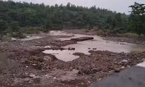 MP News: दोस्तों के साथ घूमने गया युवक गहरी खाई में गिरकर लापता