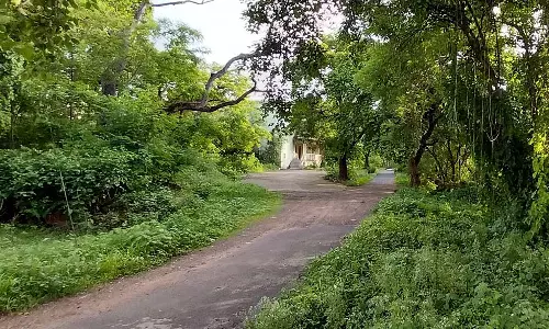 टोम एंड प्लम: शहर के हरे-भरे परिसर थकी आँखों को सुकून देते हैं