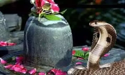 Nag Panchami 2025: कालसर्प दोष दूर करने के लिए नाग पंचमी के दिन शिवलिंग पर क्या चढ़ाएं