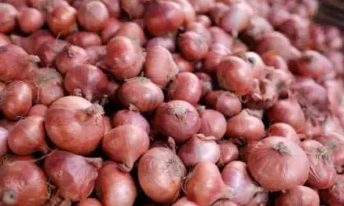 Bangladesh के आयात प्रतिबंध से प्याज किसानों पर असर