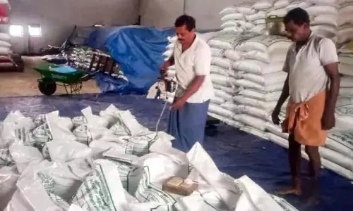Kerala : आत्मनिर्भरता की दिशा में बीज ग्राम परियोजना Kerala : आत्मनिर्भरता की दिशा में बीज ग्राम परियोजना