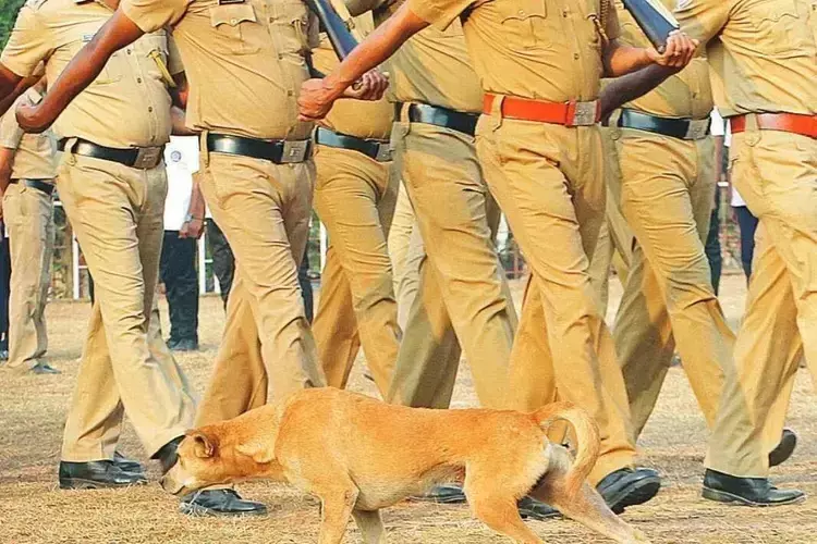 10 किमी दौड़ो और वीडियो सबूत भेजो बैठक में देर से पहुंचने पर Kerala पुलिस को मिली सज़ा