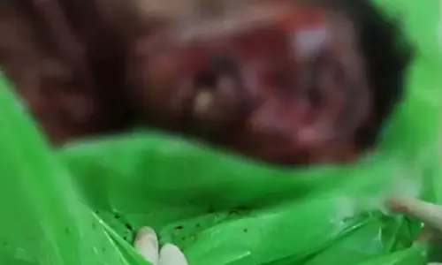तेज रफ्तार ट्रेलर ने रौंदा, स्पॉट पर बाइक चालक की मौत