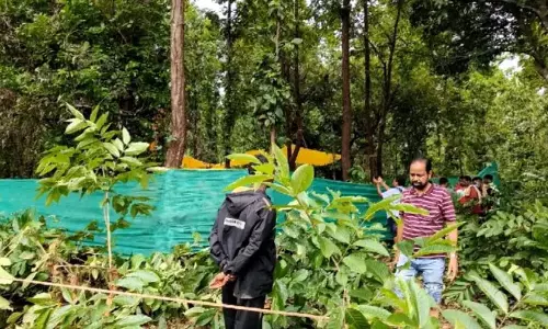 हाथी की मौत, वनपाल और वनरक्षक का तबादला, विभागीय जांच शुरू